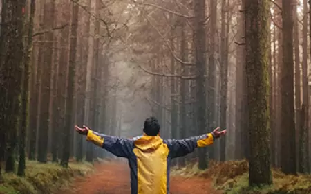 Menggapai Kesuksesan Melalui Pengembangan Diri: Tiga Langkah Menuju Pencapaian Tujuan Anda