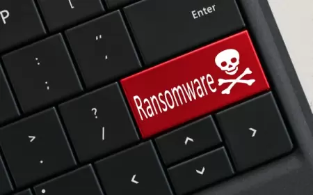 Ransomware dan Dampaknya pada Perekonomian AS: Refleksi dan Pelajaran berharga untuk Indonesia