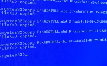 Membedah Ancaman Ransomware: Mengungkap Mitos dan Realitas