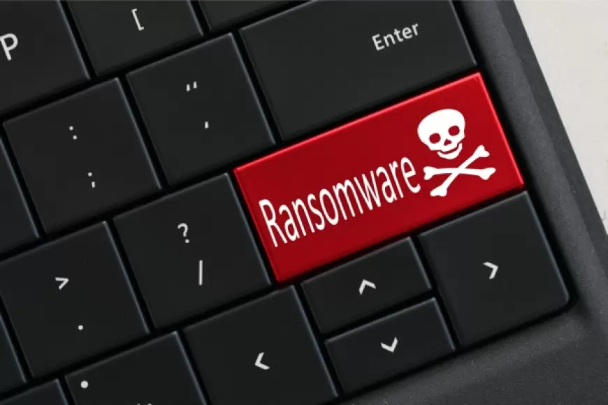 Ransomware dan Dampaknya pada Perekonomian AS: Refleksi dan Pelajaran berharga untuk Indonesia