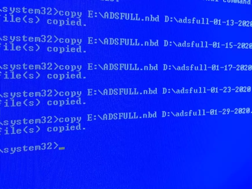 Membedah Ancaman Ransomware: Mengungkap Mitos dan Realitas