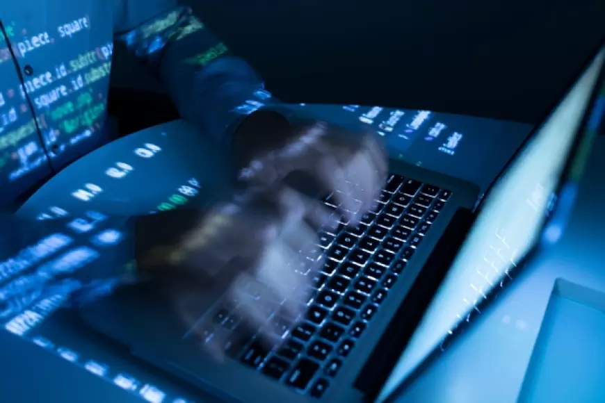 Misteri Pentester Tanpa Nama: Risiko dan Sensasi