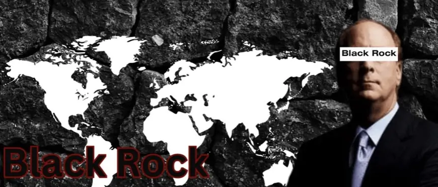 BlackRock: Perusahaan yang Diam-Diam Menguasai Dunia?